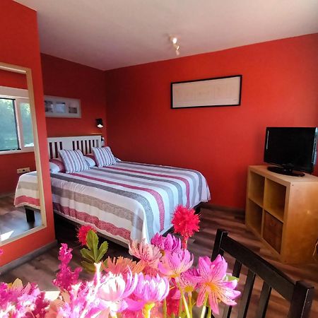 Apartamentos La Casa Del Pintor Cudillero Værelse billede
